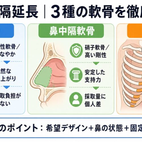 鼻中隔延長に最適な軟骨はどれ？耳介・鼻中隔・肋軟骨の特性と選び方を徹底比較