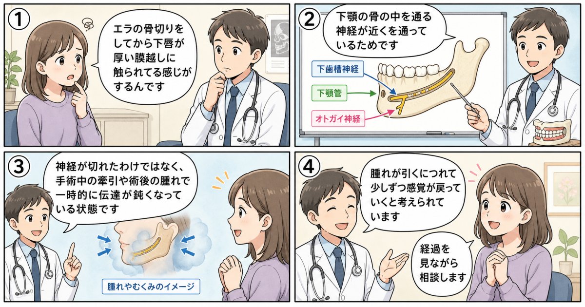骨切り術後に神経のしびれや知覚鈍麻が生じる医学的な理由