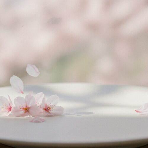 小鼻縮小は必要ない？切らずに鼻を小さく見せる代替方法